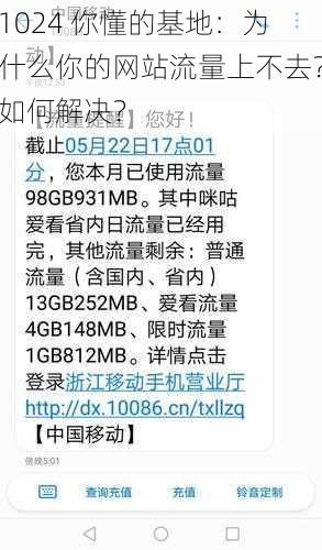 1024 你懂的基地：为什么你的网站流量上不去？如何解决？