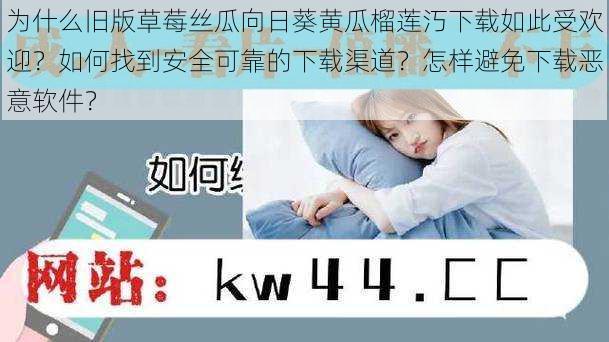 为什么旧版草莓丝瓜向日葵黄瓜榴莲汅下载如此受欢迎？如何找到安全可靠的下载渠道？怎样避免下载恶意软件？