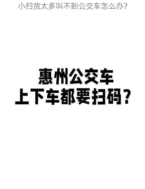 小扫货太多叫不到公交车怎么办？