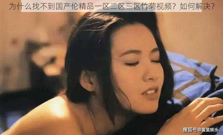 为什么找不到国产伦精品一区二区三区竹菊视频？如何解决？