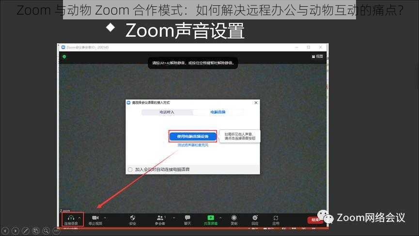 Zoom 与动物 Zoom 合作模式：如何解决远程办公与动物互动的痛点？