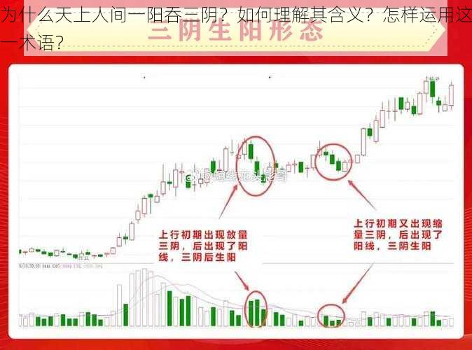 为什么天上人间一阳吞三阴？如何理解其含义？怎样运用这一术语？