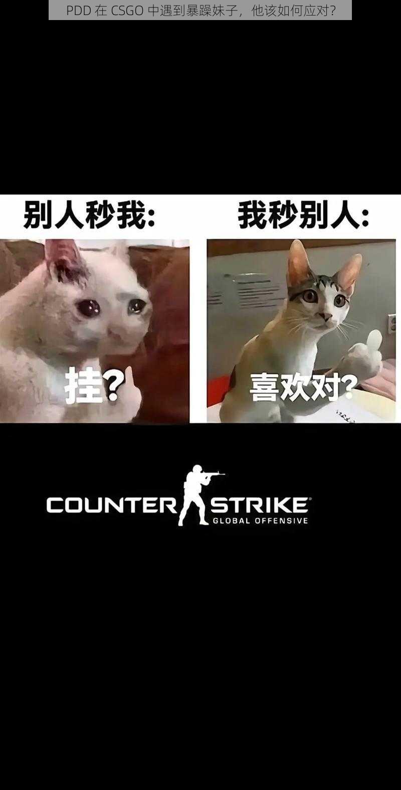 PDD 在 CSGO 中遇到暴躁妹子，他该如何应对？