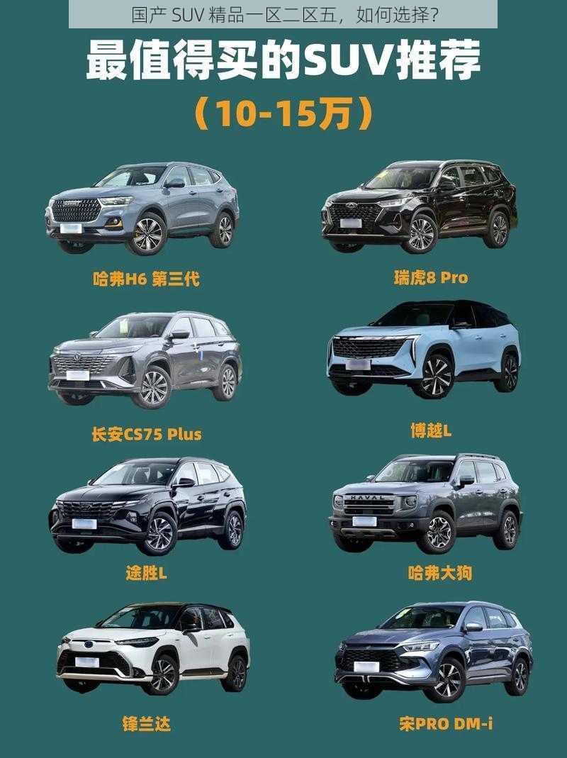 国产 SUV 精品一区二区五，如何选择？