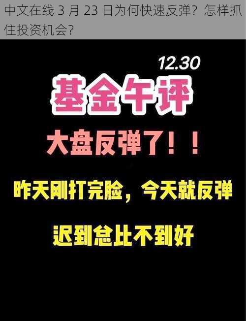 中文在线 3 月 23 日为何快速反弹？怎样抓住投资机会？