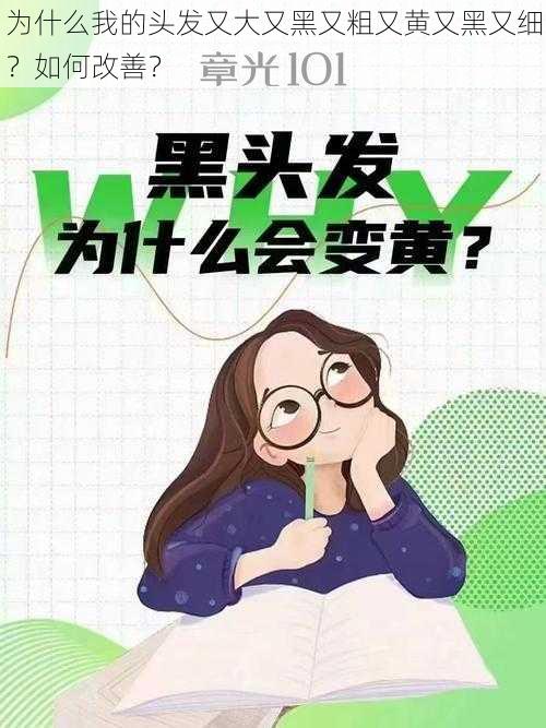 为什么我的头发又大又黑又粗又黄又黑又细？如何改善？