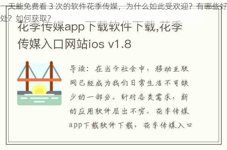 一天能免费看 3 次的软件花季传媒，为什么如此受欢迎？有哪些好处？如何获取？