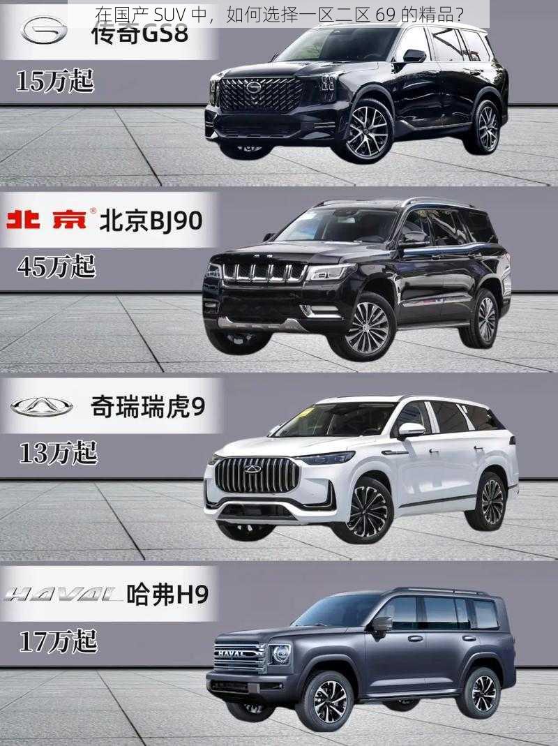 在国产 SUV 中，如何选择一区二区 69 的精品？