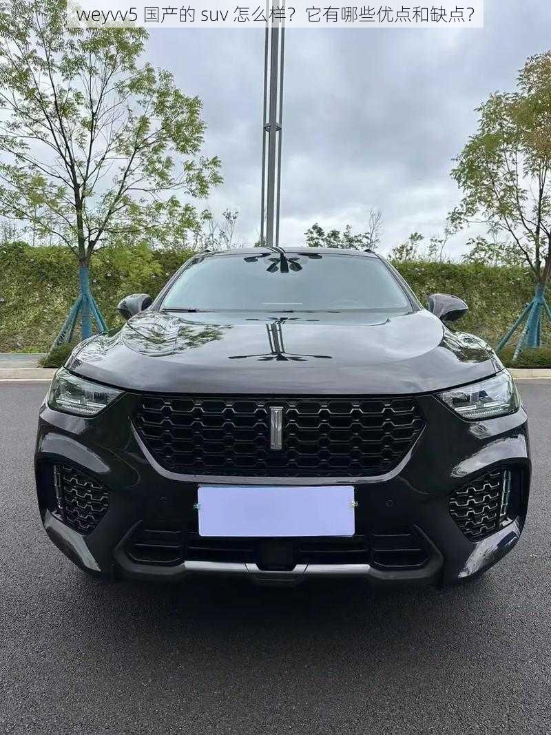 weyvv5 国产的 suv 怎么样？它有哪些优点和缺点？