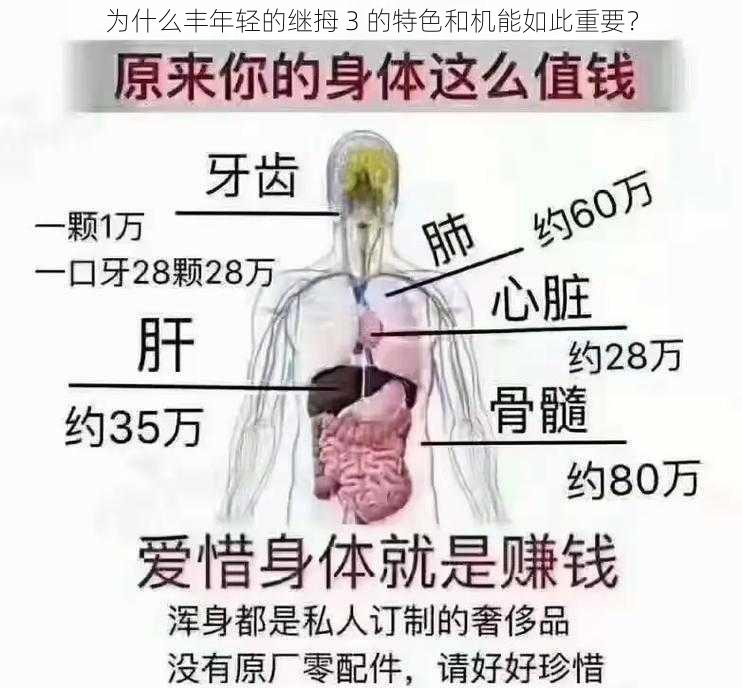 为什么丰年轻的继拇 3 的特色和机能如此重要？