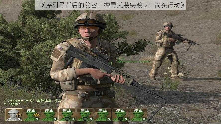 《序列号背后的秘密：探寻武装突袭 2：箭头行动》