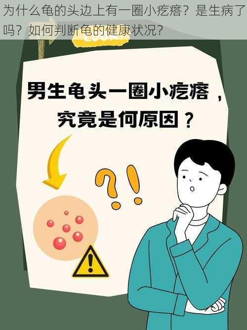 为什么龟的头边上有一圈小疙瘩？是生病了吗？如何判断龟的健康状况？