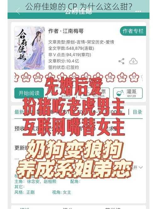 公府佳媳的 CP 为什么这么甜？