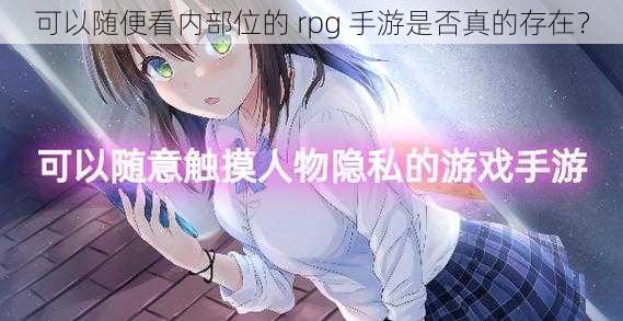 可以随便看内部位的 rpg 手游是否真的存在？