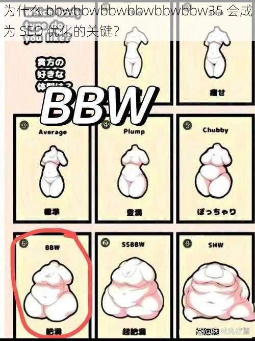 为什么 bbwbbwbbwbbwbbwbbw35 会成为 SEO 优化的关键？