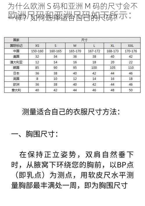 为什么欧洲 S 码和亚洲 M 码的尺寸会不一样？如何选择适合自己的尺码？