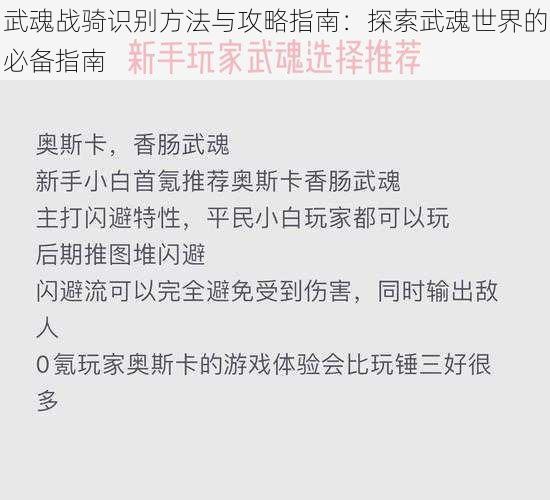 武魂战骑识别方法与攻略指南：探索武魂世界的必备指南