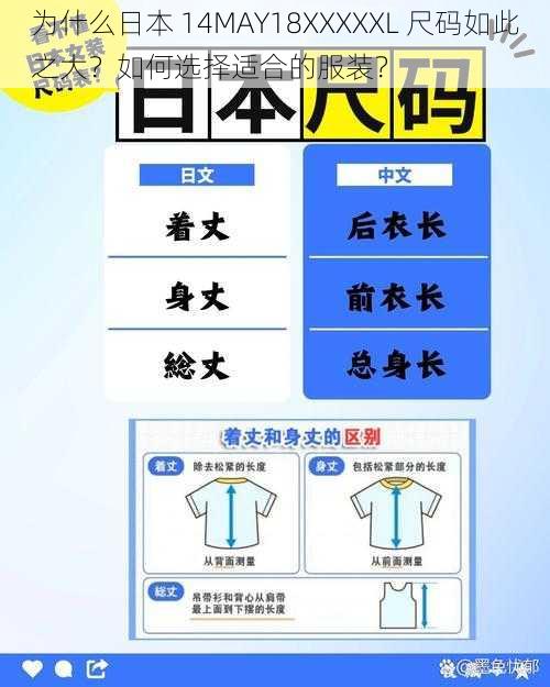 为什么日本 14MAY18XXXXXL 尺码如此之大？如何选择适合的服装？