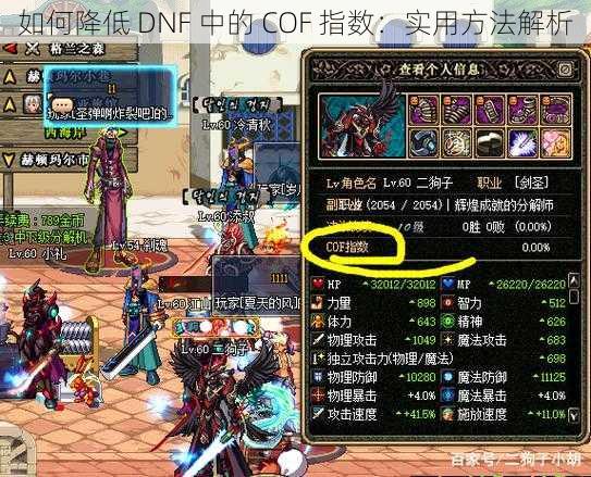 如何降低 DNF 中的 COF 指数：实用方法解析