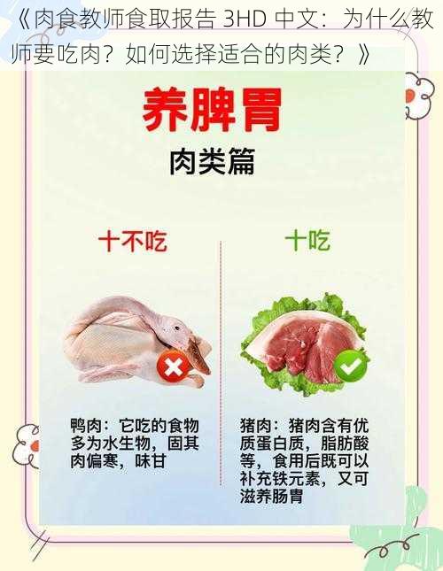 《肉食教师食取报告 3HD 中文：为什么教师要吃肉？如何选择适合的肉类？》