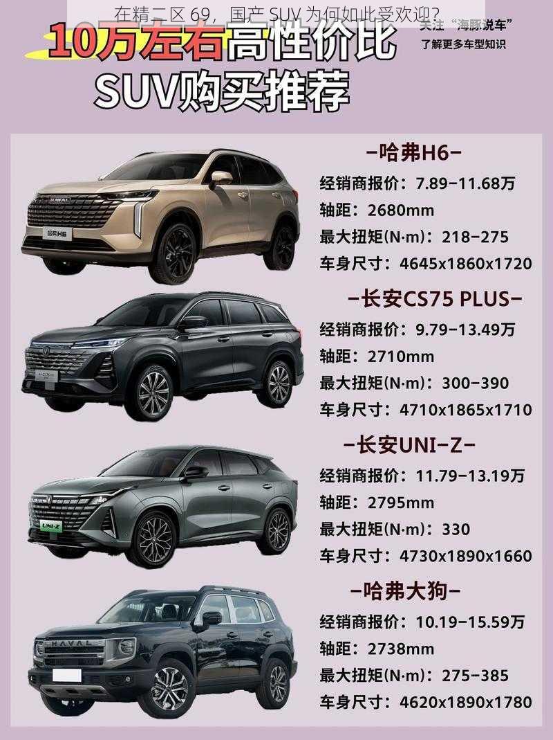 在精二区 69，国产 SUV 为何如此受欢迎？