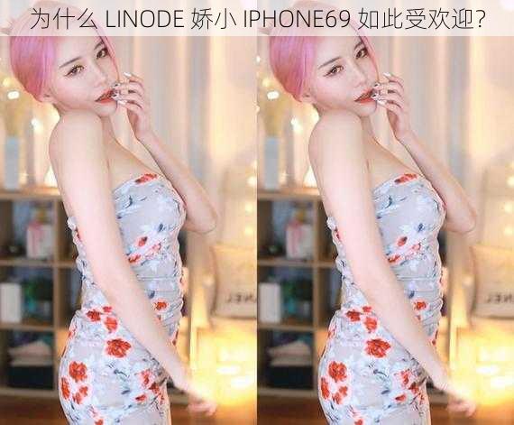 为什么 LINODE 娇小 IPHONE69 如此受欢迎？