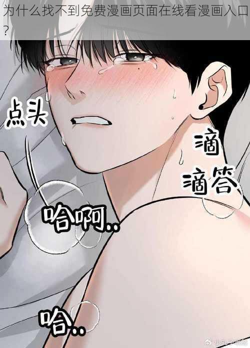 为什么找不到免费漫画页面在线看漫画入口？