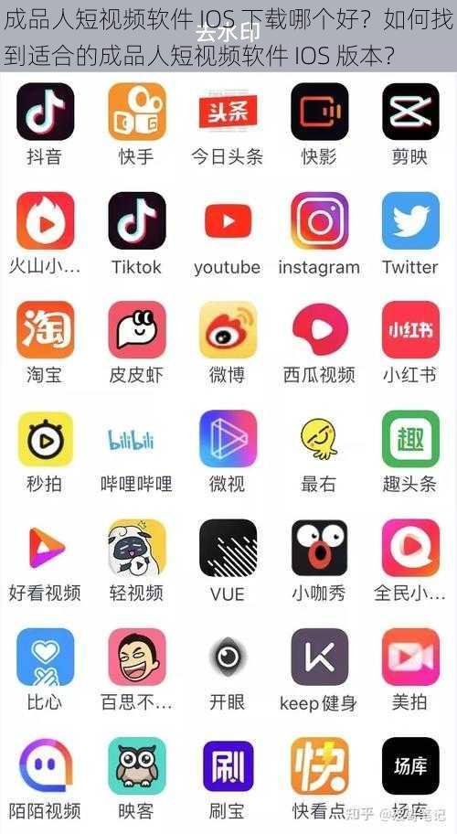 成品人短视频软件 IOS 下载哪个好？如何找到适合的成品人短视频软件 IOS 版本？