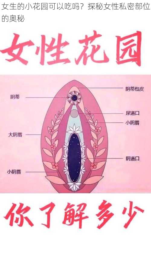 女生的小花园可以吃吗？探秘女性私密部位的奥秘