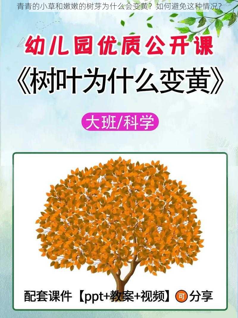 青青的小草和嫩嫩的树芽为什么会变黄？如何避免这种情况？