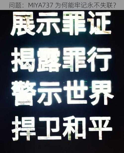 问题：MIYA737 为何能牢记永不失联？