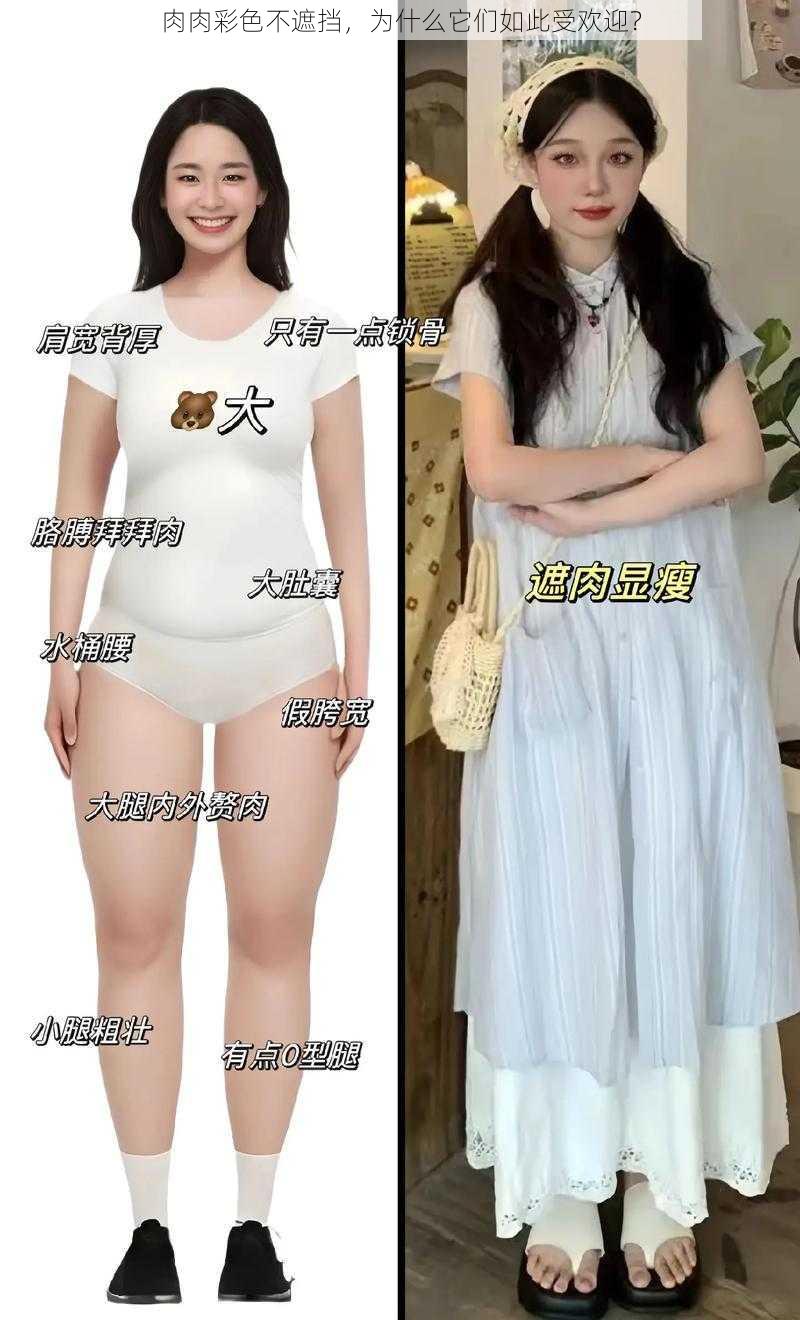 肉肉彩色不遮挡，为什么它们如此受欢迎？