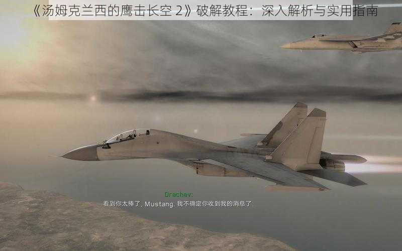 《汤姆克兰西的鹰击长空 2》破解教程：深入解析与实用指南