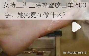 女特工脚上涂蜂蜜放山羊 600 字，她究竟在做什么？