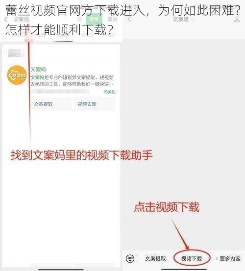 蕾丝视频官网方下载进入，为何如此困难？怎样才能顺利下载？