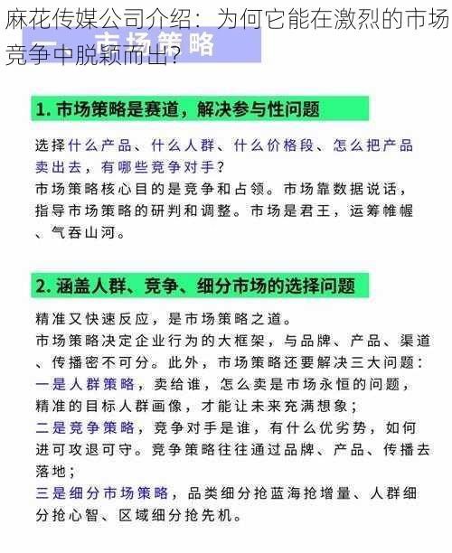 麻花传媒公司介绍：为何它能在激烈的市场竞争中脱颖而出？