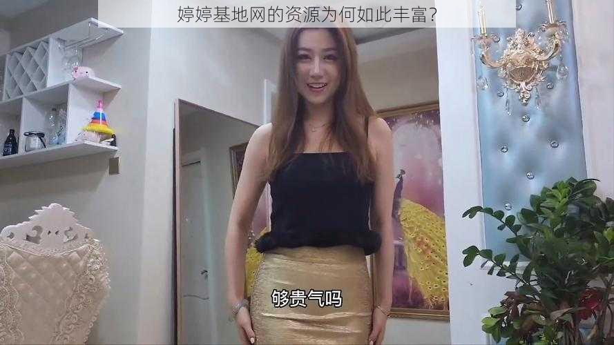 婷婷基地网的资源为何如此丰富？