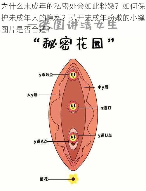 为什么末成年的私密处会如此粉嫩？如何保护未成年人的隐私？扒开末成年粉嫩的小缝图片是否合适？