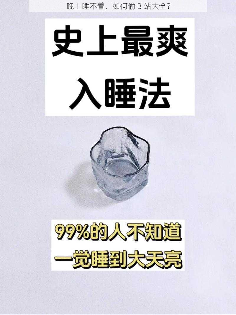 晚上睡不着，如何偷 B 站大全？