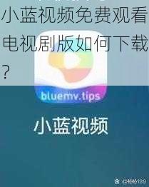 小蓝视频免费观看电视剧版如何下载？