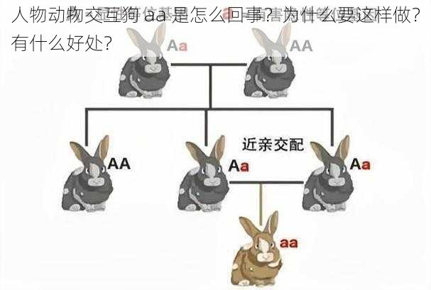 人物动物交互狗 aa 是怎么回事？为什么要这样做？有什么好处？