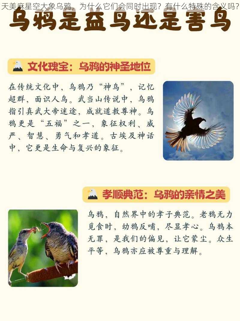 天美麻星空大象乌鸦，为什么它们会同时出现？有什么特殊的含义吗？