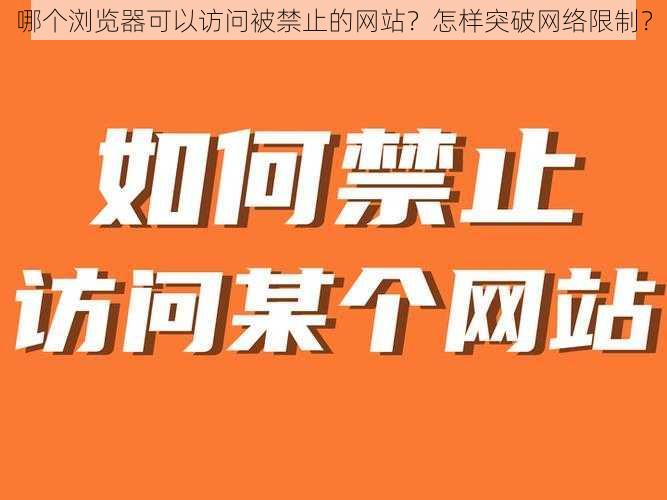 哪个浏览器可以访问被禁止的网站？怎样突破网络限制？