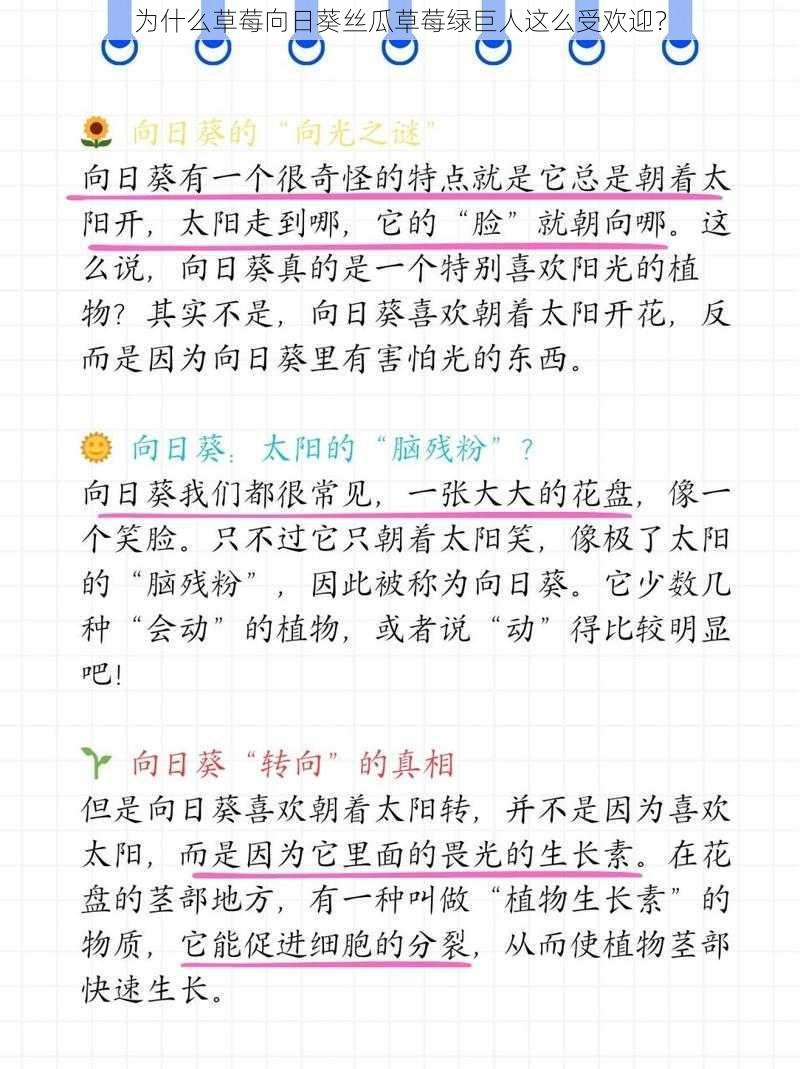 为什么草莓向日葵丝瓜草莓绿巨人这么受欢迎？