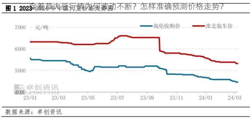 含羞草大豆行情为何波动不断？怎样准确预测价格走势？