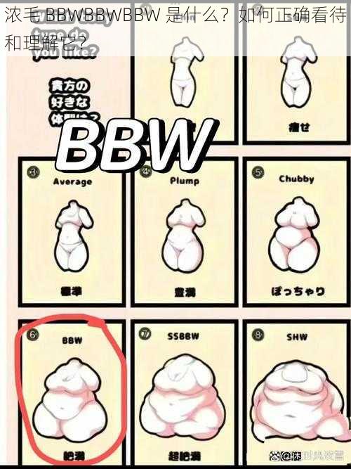 浓毛 BBWBBWBBW 是什么？如何正确看待和理解它？