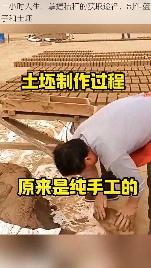 一小时人生：掌握秸秆的获取途径，制作篮子和土坯