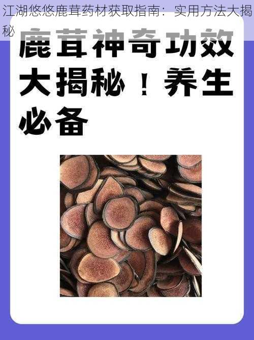 江湖悠悠鹿茸药材获取指南：实用方法大揭秘