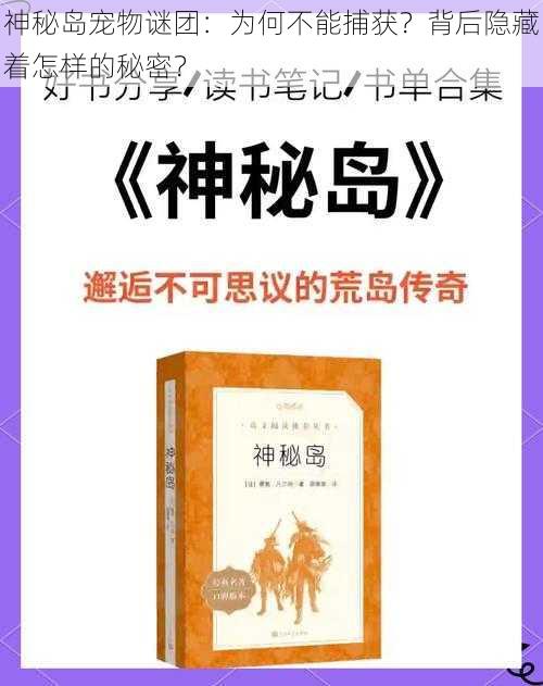 神秘岛宠物谜团：为何不能捕获？背后隐藏着怎样的秘密？