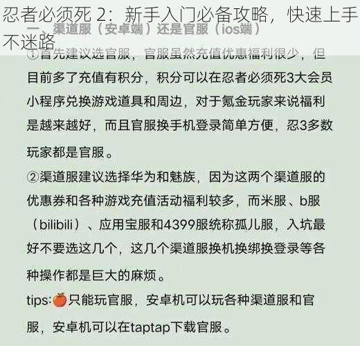 忍者必须死 2：新手入门必备攻略，快速上手不迷路